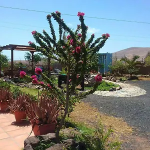 Soleario Casa rural La Oliva
